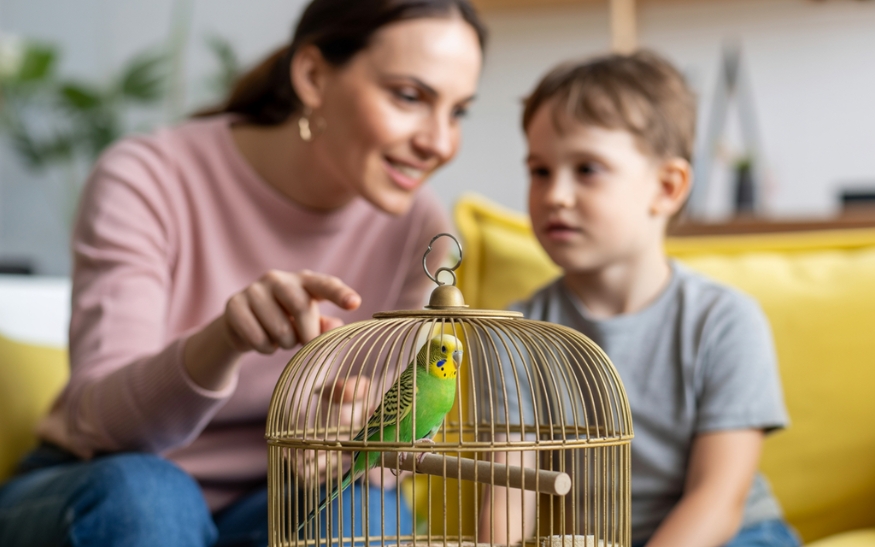 Papoušci a soužití s dětmi